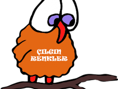 Www Cayyolum Com Cayyolu Bilgi Portali Cayyolu Firmalar Rehberi